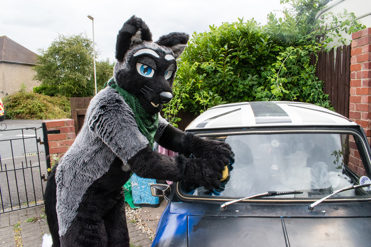 Sexy Car Wash by ToddSilverFoxx -- Fur Affinity [dot] net