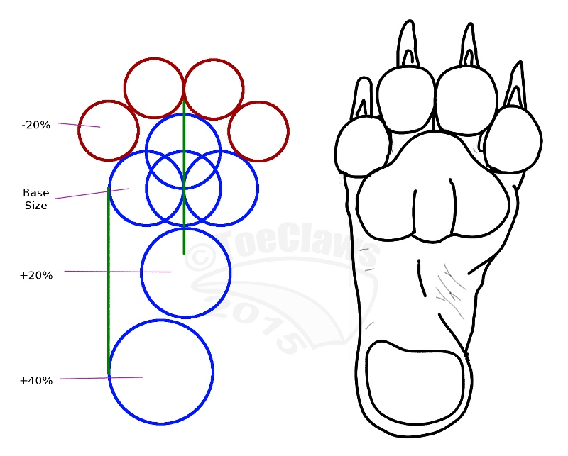 How to Draw a Cat Paw Print 