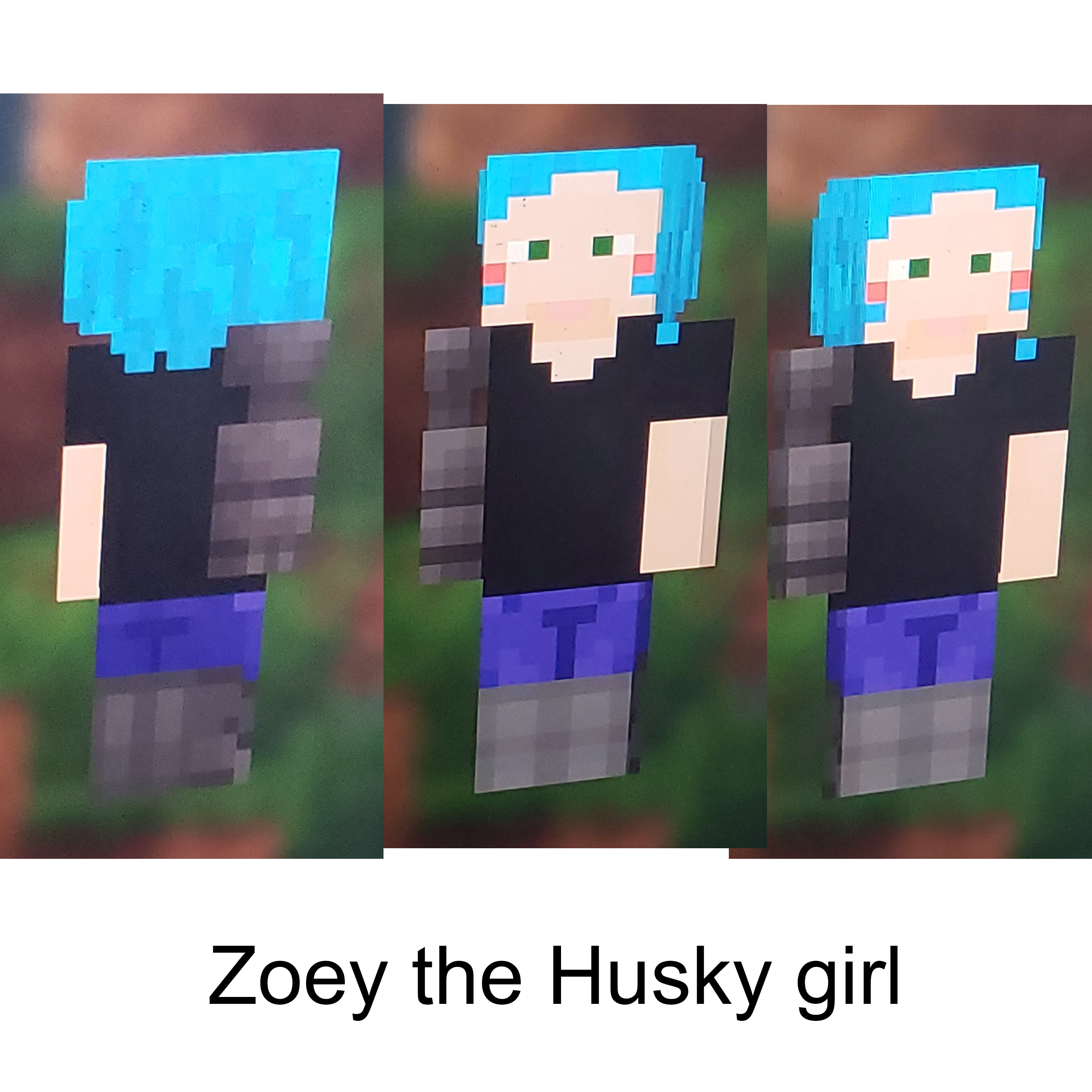 wolf girl minecraft