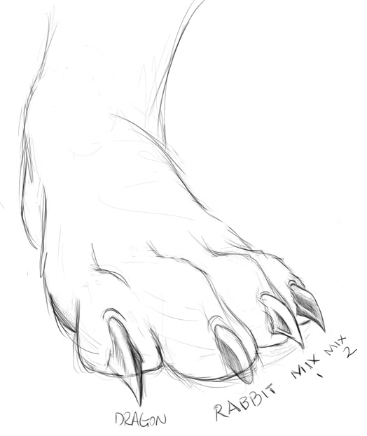 cat paw with claws drawing