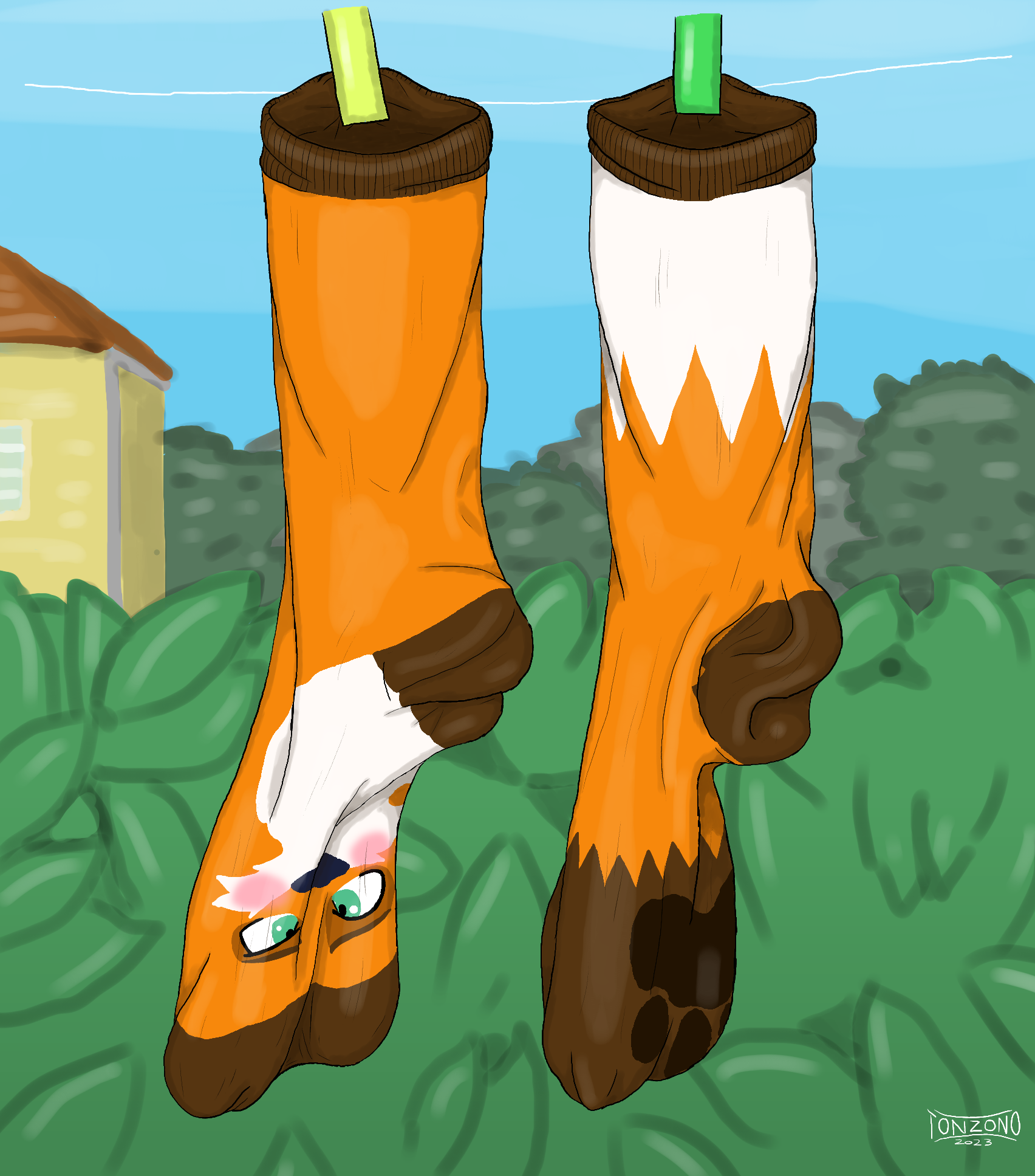 How to Wash Your Socks to Make Them Last – SocksFox