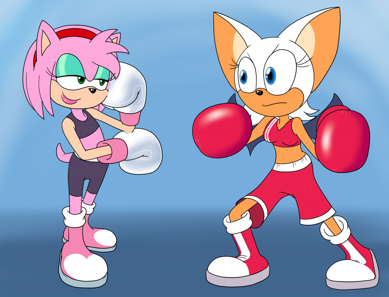 Amy Vs Rouge Swapped By Toonboy1029 Fur Affinity Dot Net 5799
