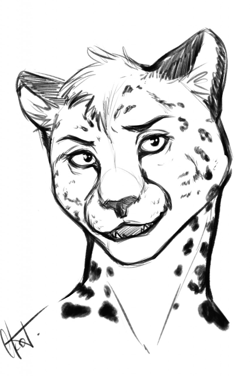 Cheetah Portrait Color Pencil Drawing Print Big Cat Art Artwork Signed by  Artist Gary Tymon 2 Sizes 100 Prints - Etsy
