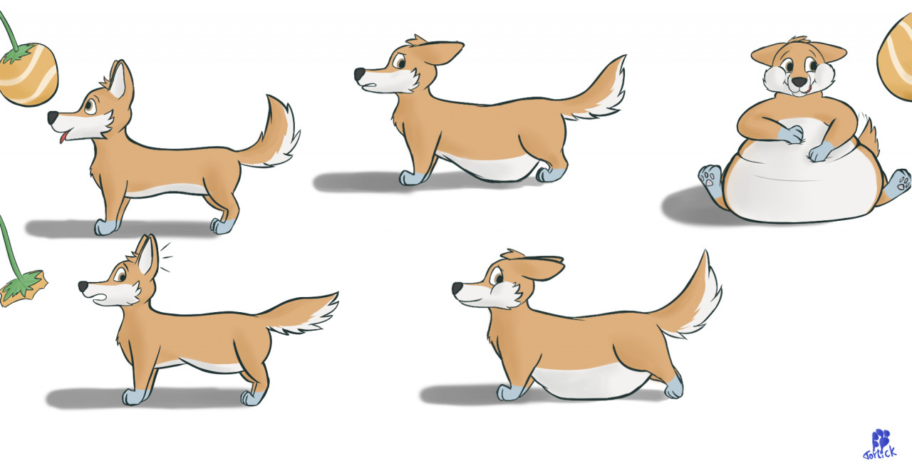 Fast corgi clearance