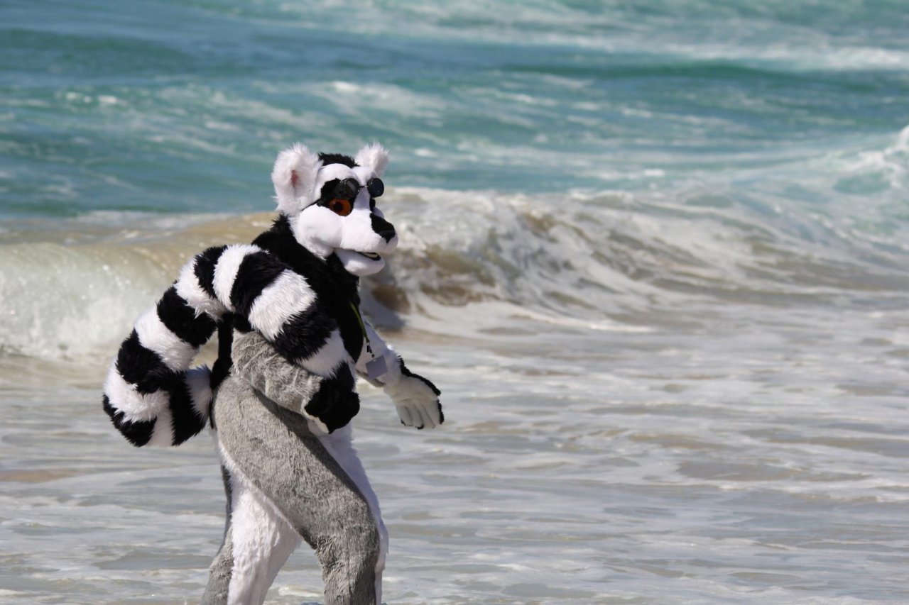Does Anyone Know The Way To Madagascar By Toska Fur Affinity Dot Net