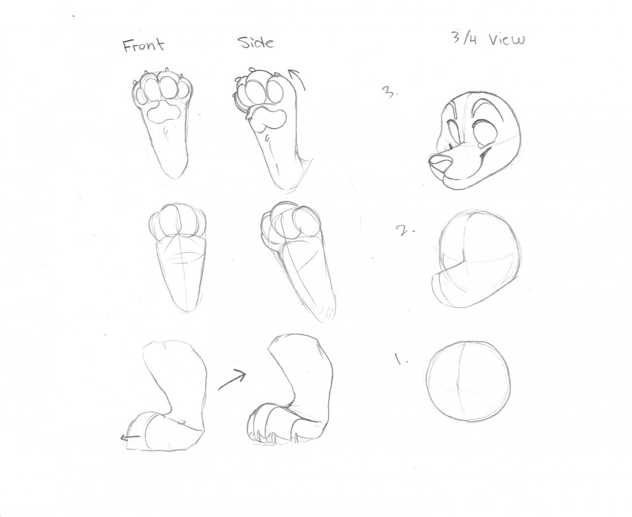 Paw And Muzzle Tutorial - By Arterialfox By Traditionalart -- Fur Affinity  [Dot] Net