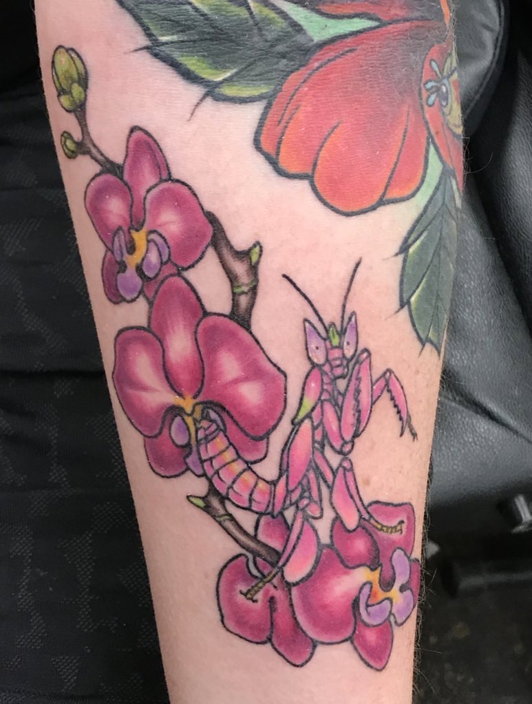 Orchid mantis tattoo by trashboythrash  Fur Affinity dot net