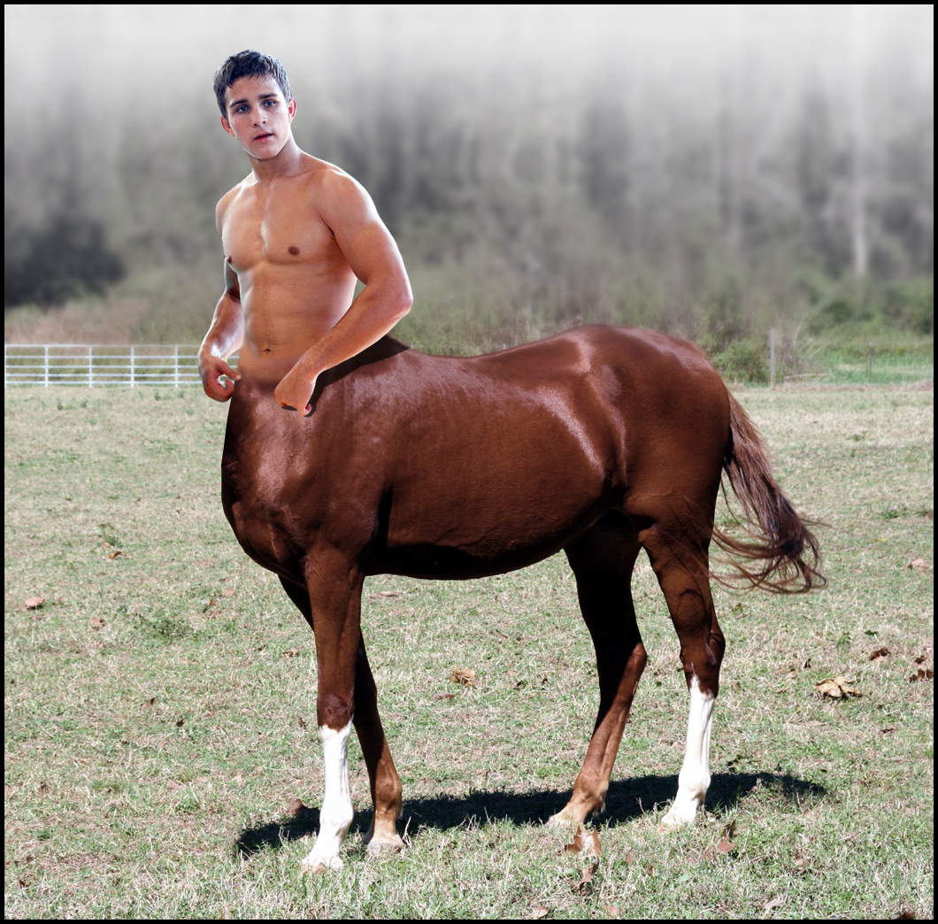 фото гей на лошади фото 52