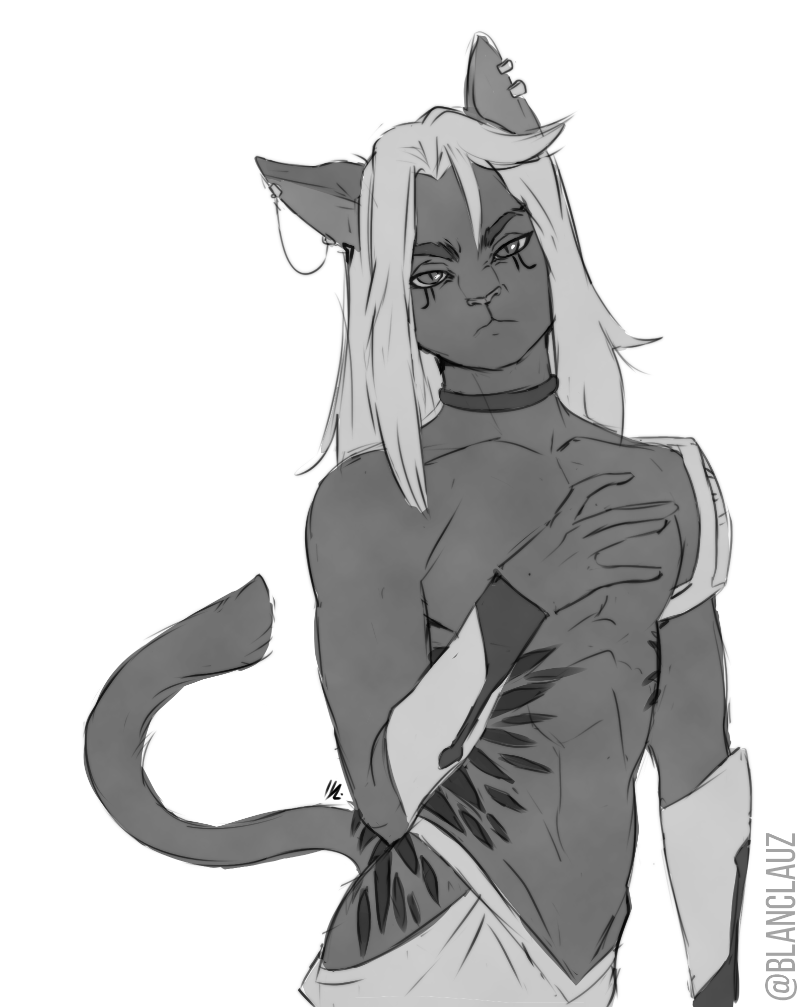 Comission from BlancLaus by TrollCatGamer -- Fur Affinity [dot] net