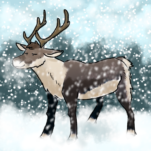 Animal Cartoon png download - 871*917 - Free Transparent Reindeer png  Download. - CleanPNG / KissPNG