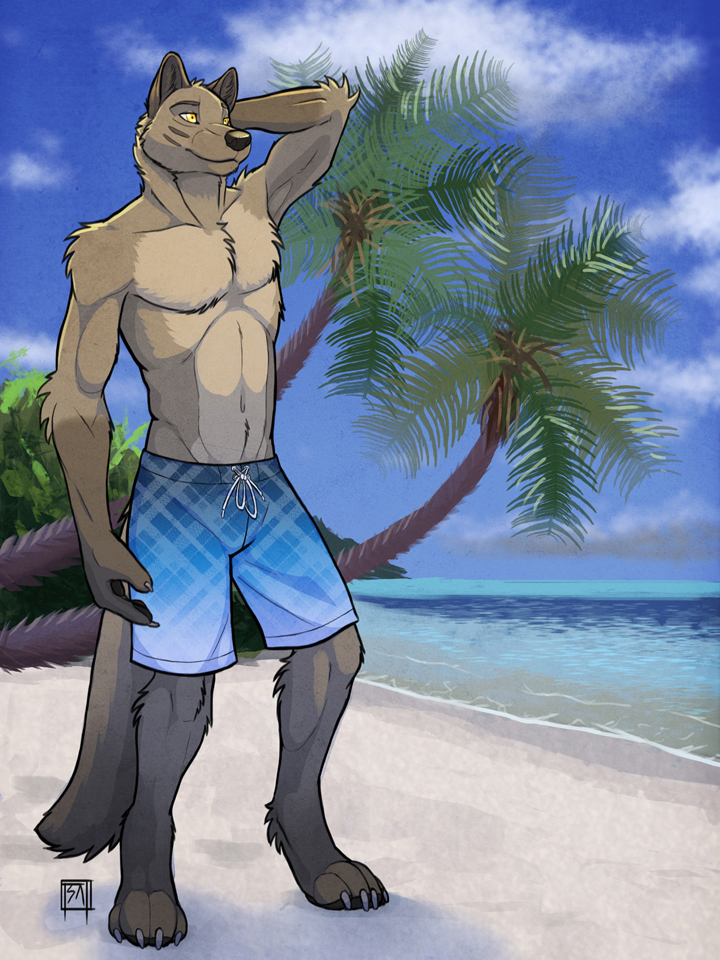 Wolf on sale swim trunks