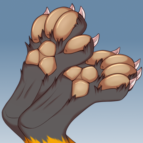 Pawpads 2024