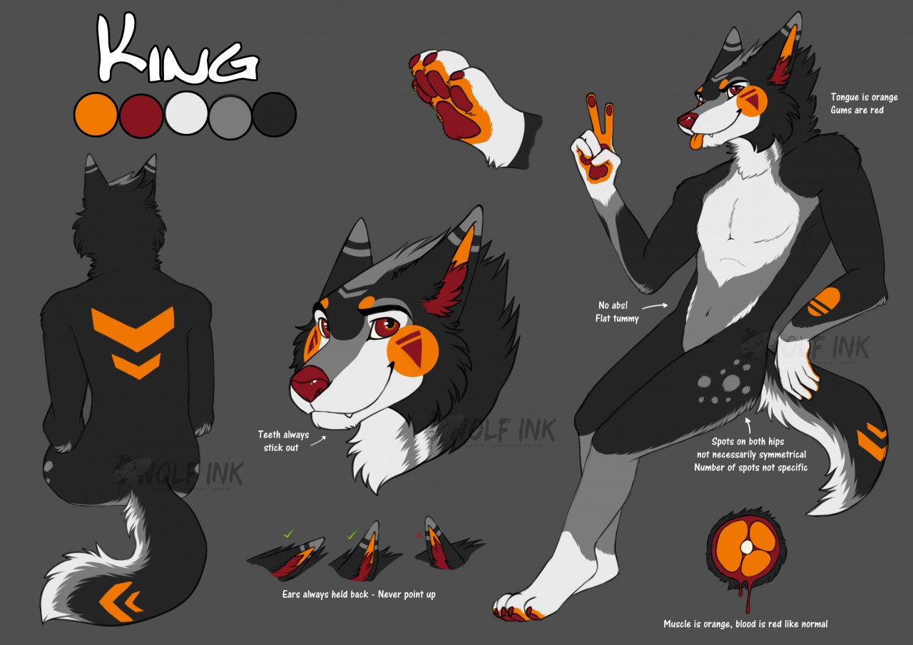 King Ref Sheet By Uktehwhitewolf Fur Affinity Dot Net