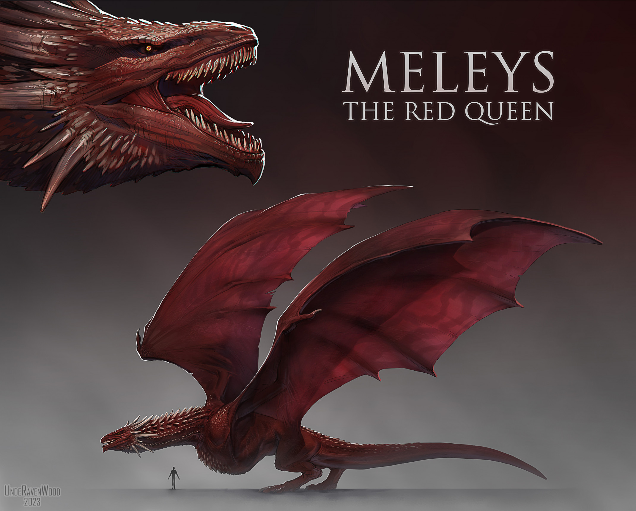 Queen of dragons