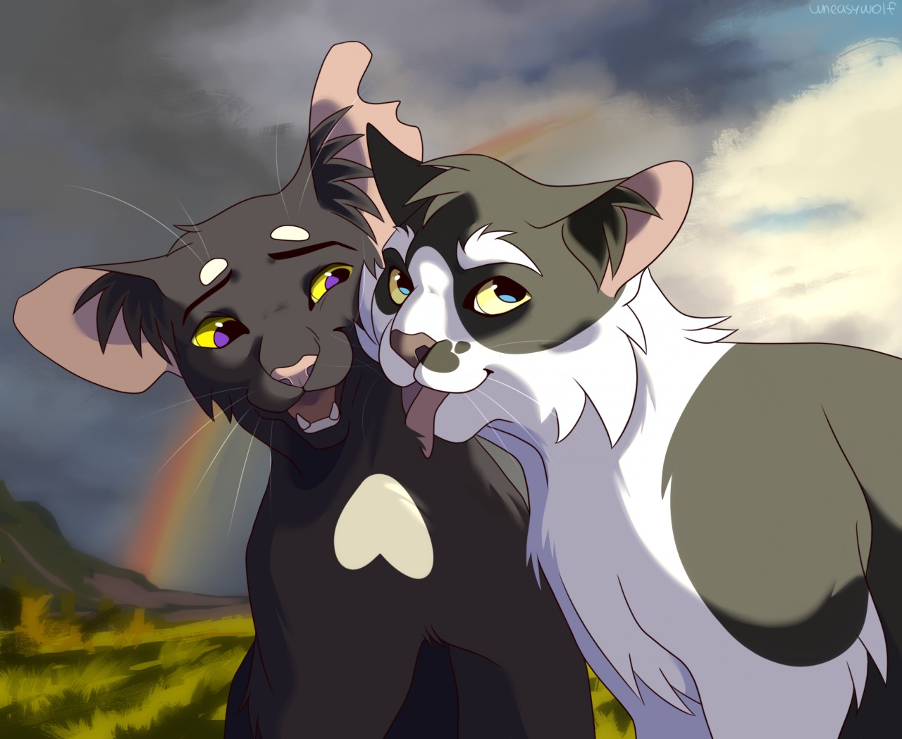 Ravenpaw (Warrior cats) by Hoak -- Fur Affinity [dot] net