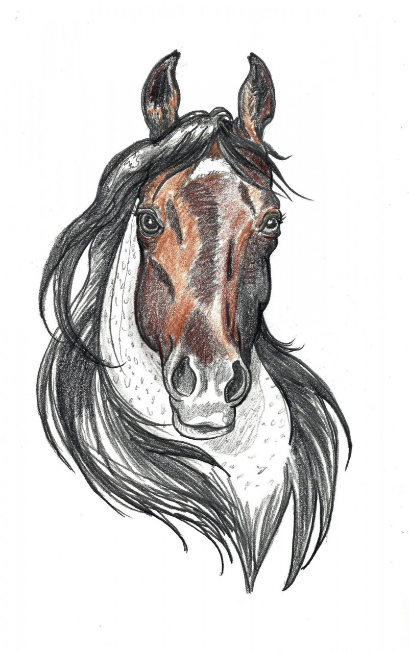 15 Beautiful Horse Tattoos and their Meaning  easyink