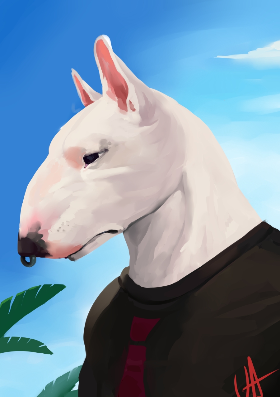 Bull terrier fursona