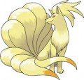 Ninetails's Belly Noises