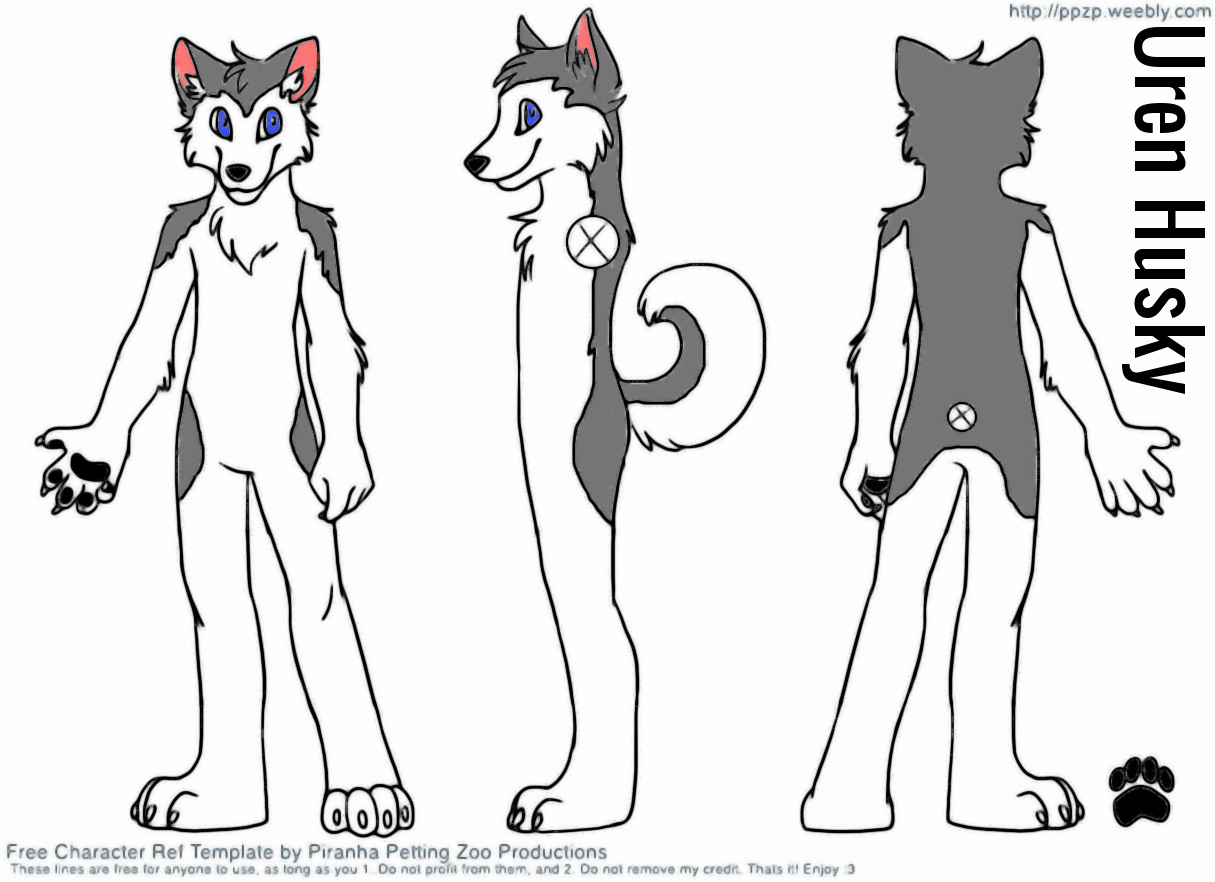 Uren Husky Reference Sheet By Urenhusky Fur Affinity Dot Net