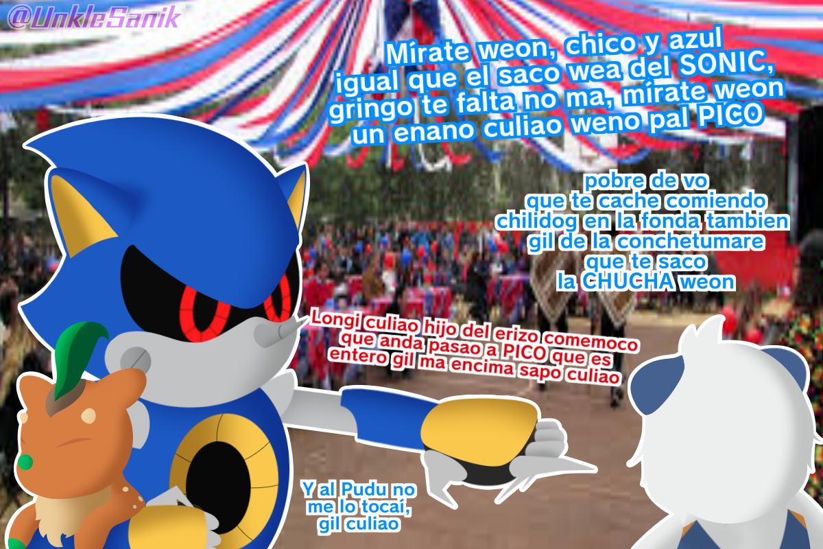 Pokemon Metal Sonic EXE