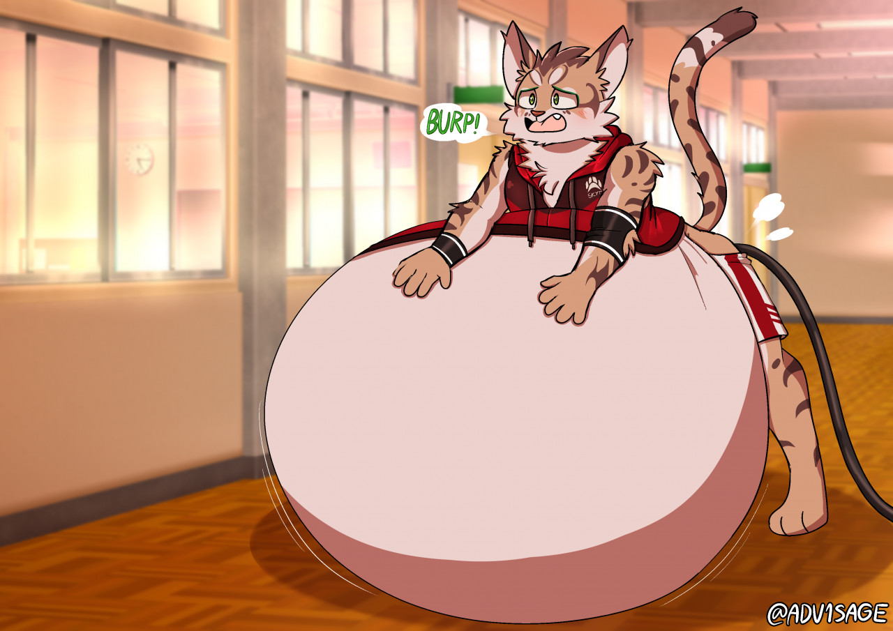 Furry balls inflation