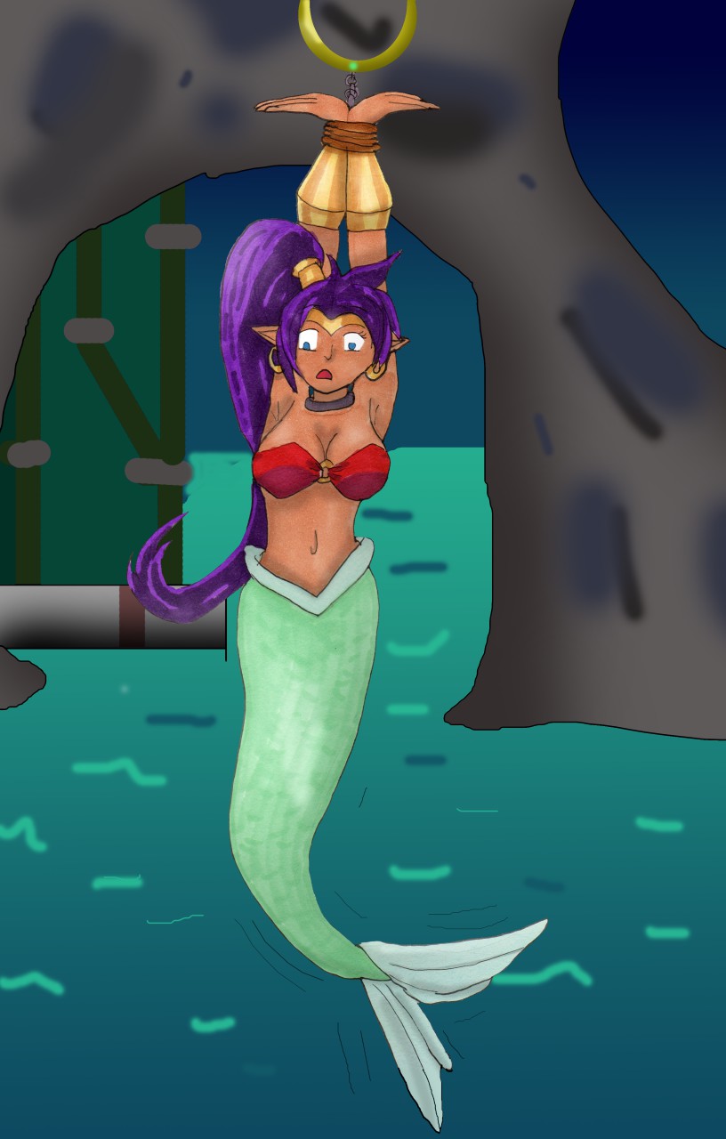 Shantae: Half Genie Hero, Half-Mermaid Damsel by valentinetf -- Fur  Affinity [dot] net