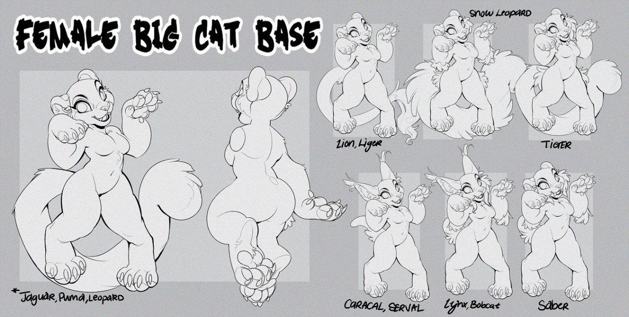 Big Cat Mega Base Pack! 