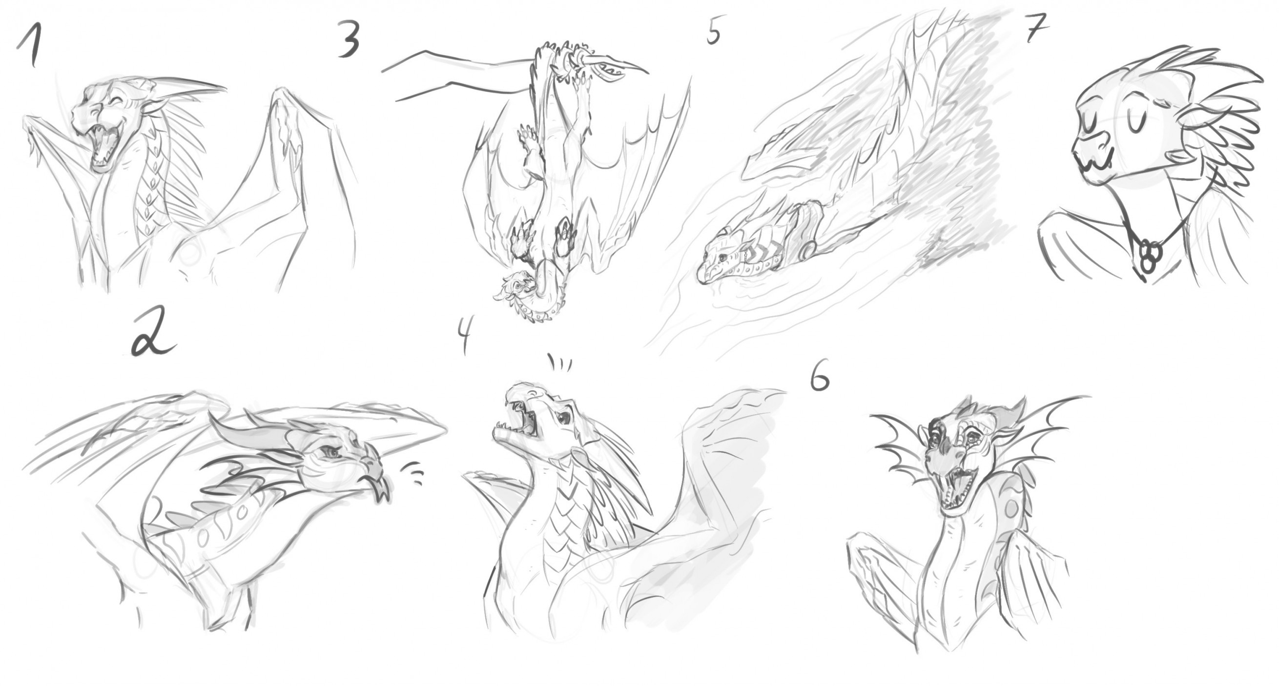 Here Be Dragons: Photo | Dragon poses, Dragon sketch, Animal drawings