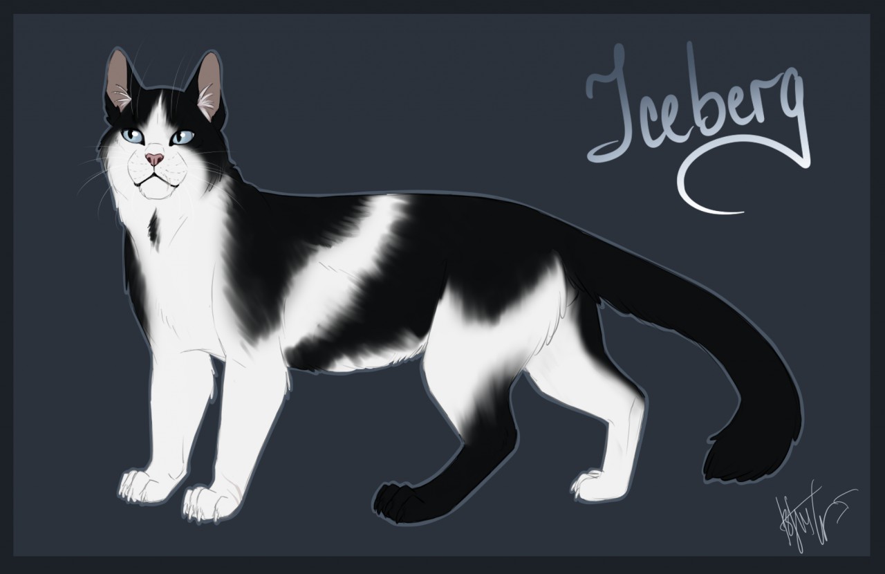 Warrior cats hot sale black and white