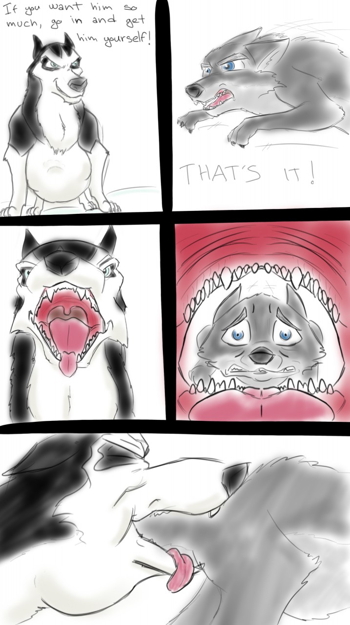 Balto vore