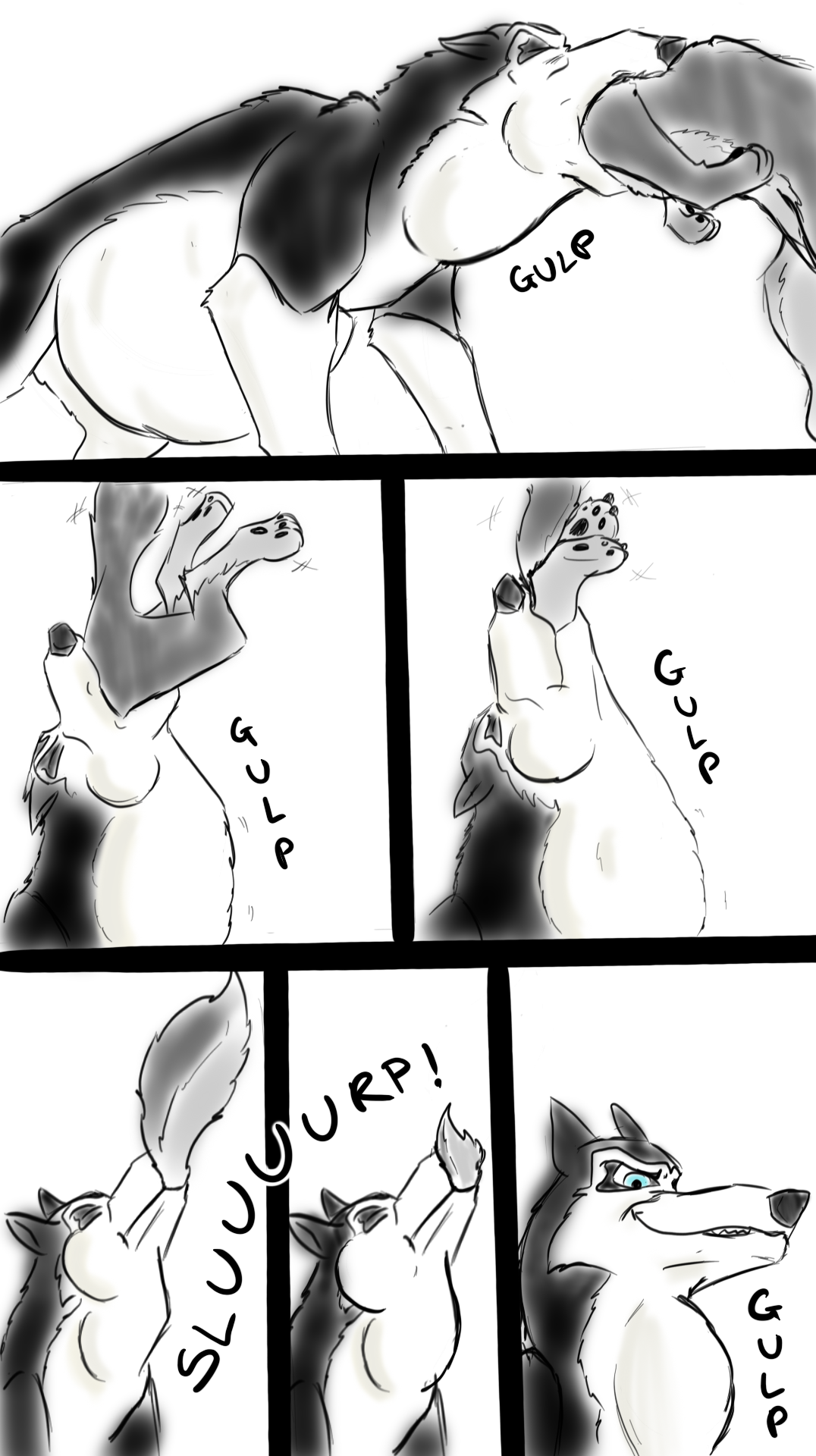 Balto vore