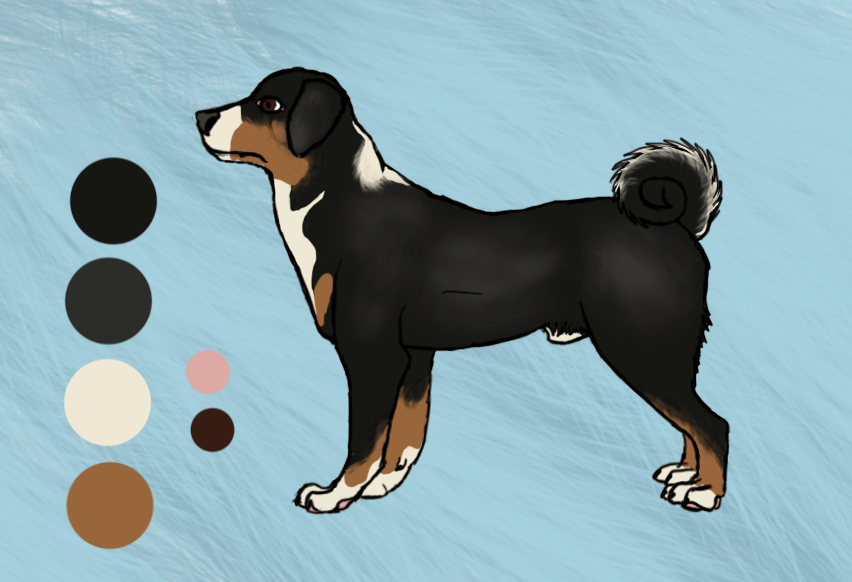 Appenzeller mountain dog reference sheet by Vozooro -- Fur Affinity [dot]  net