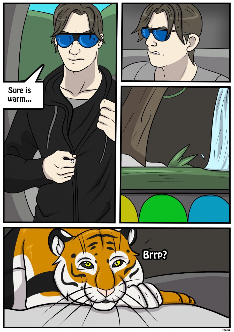 New Zoo-Male Tiger Page 2 by Wallace113 -- Fur Affinity [dot] net