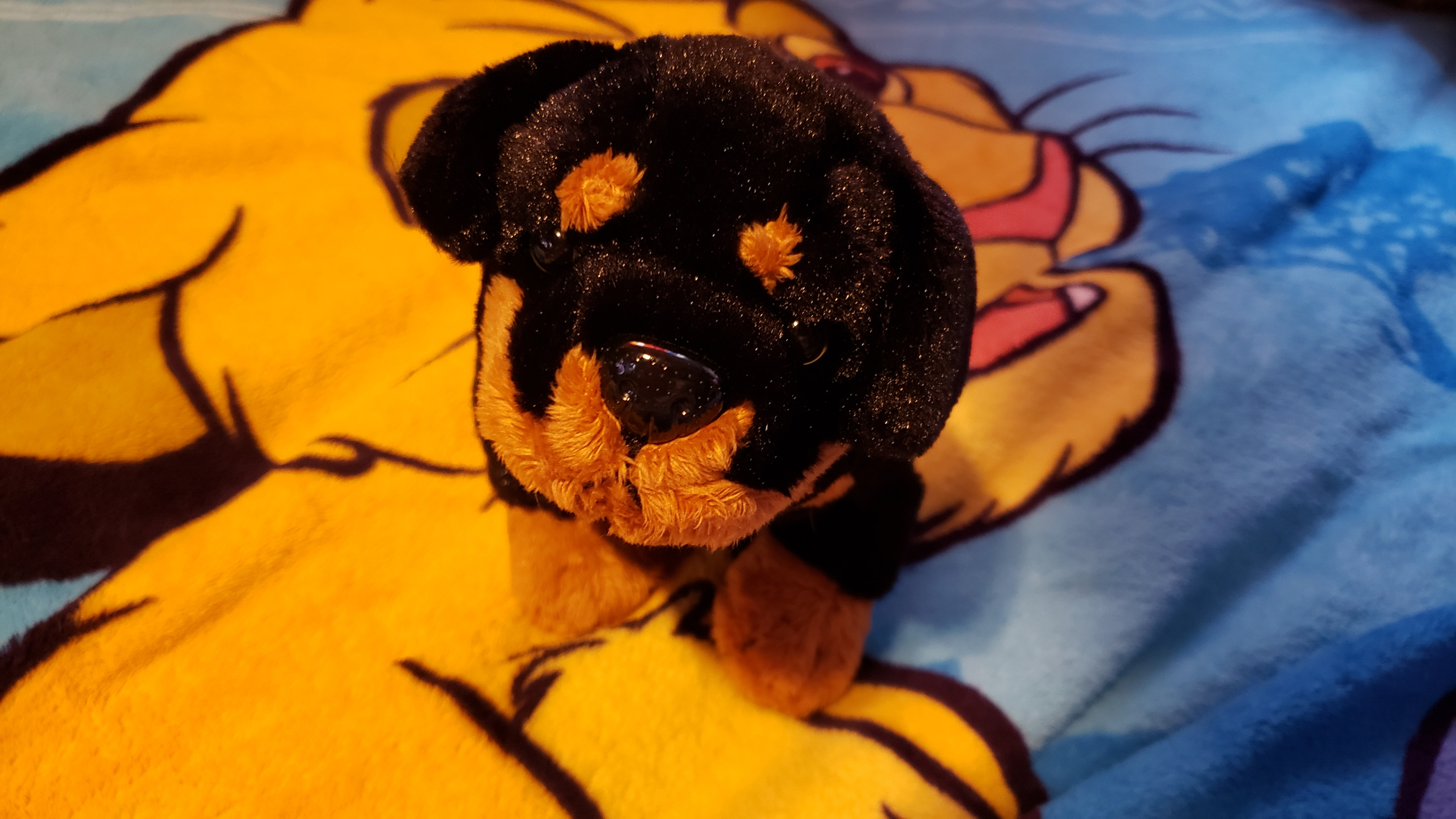 Webkinz rottweiler shop