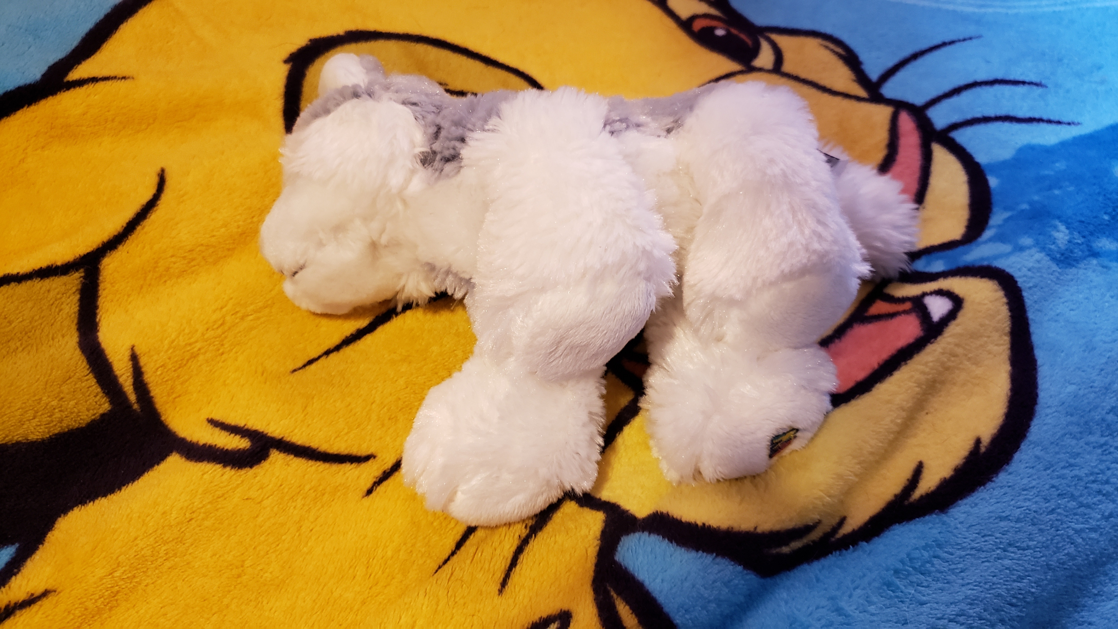 Webkinz husky hotsell