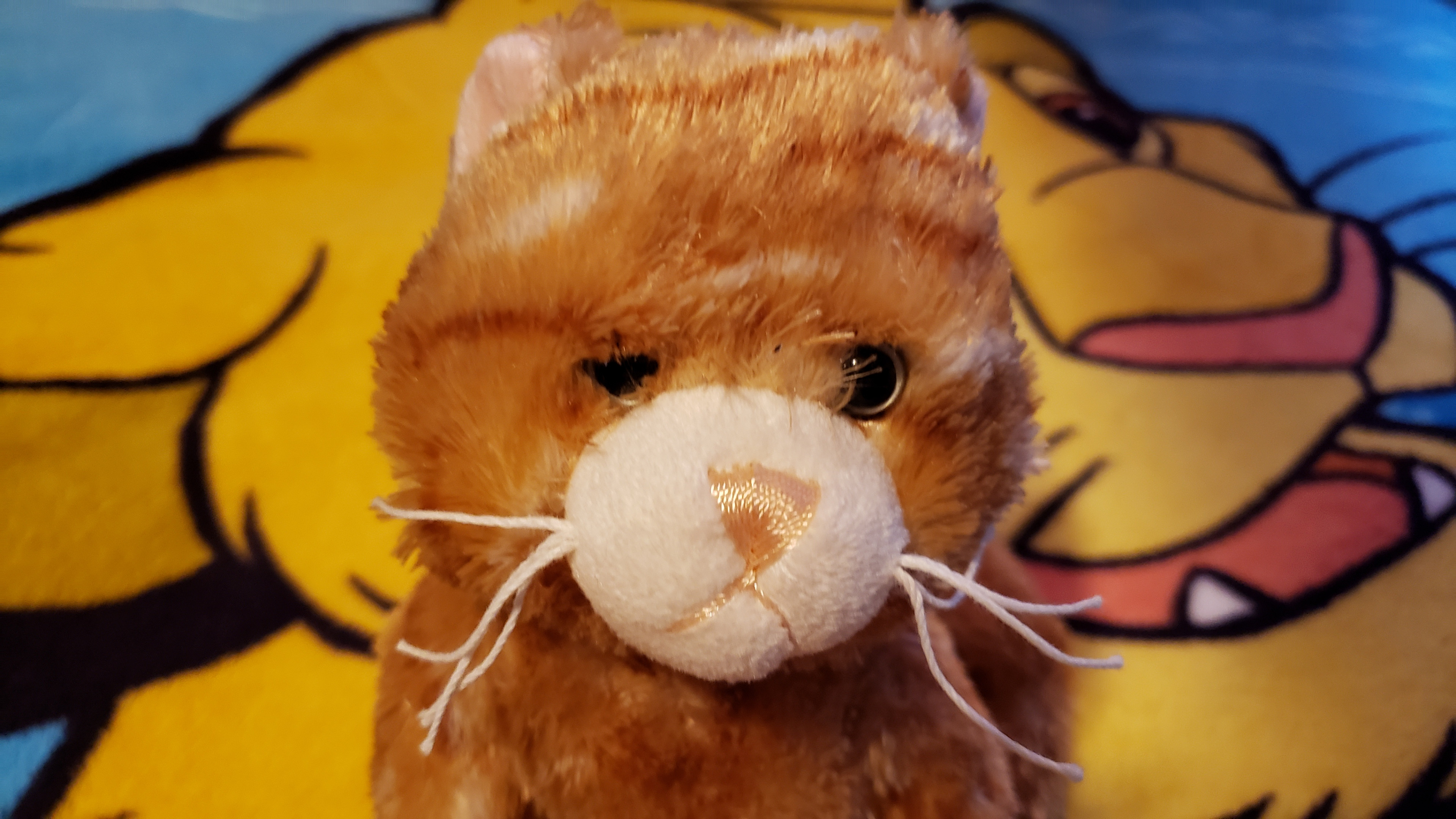 Webkinz cat on sale