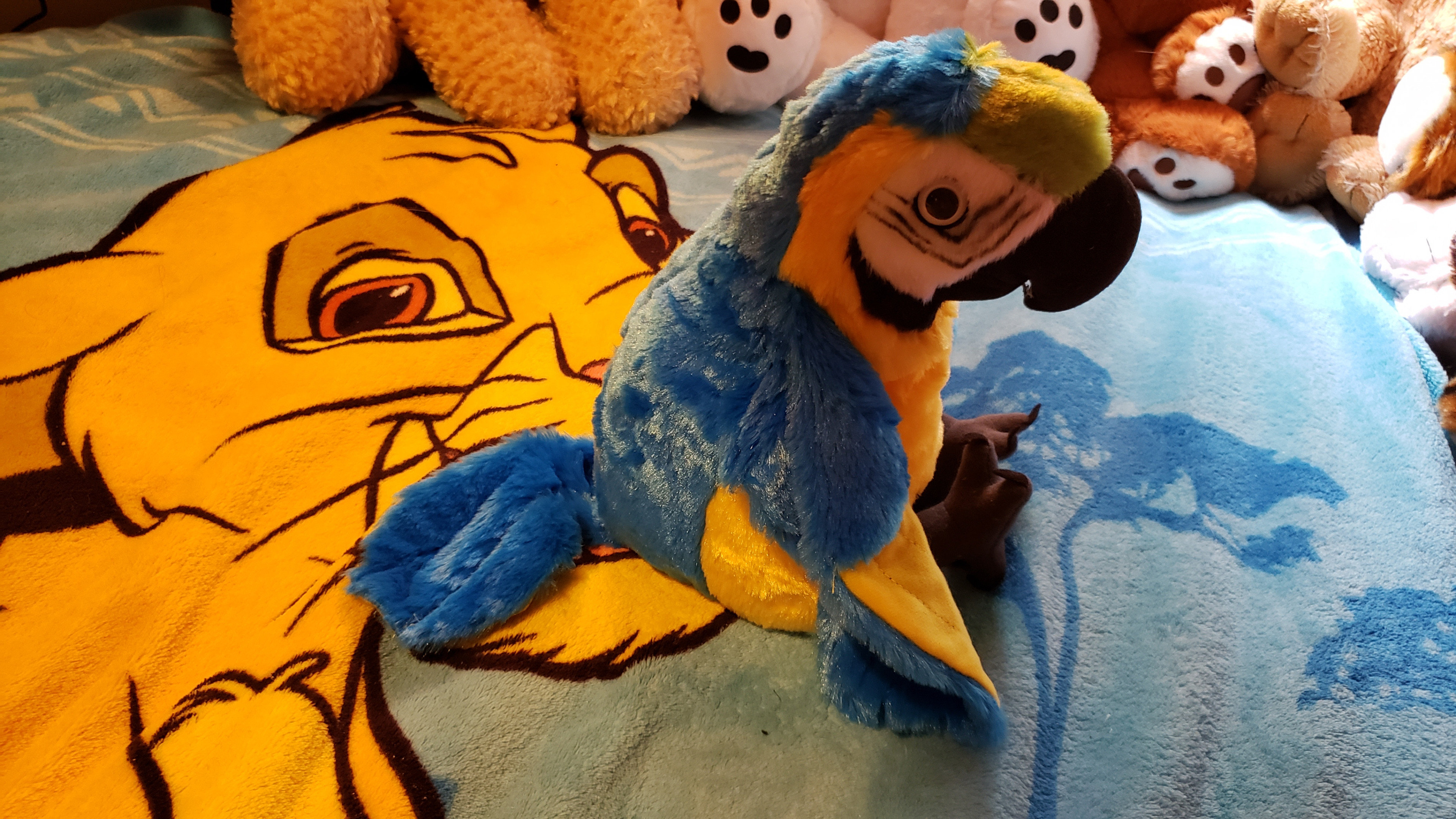 Wild 2024 republic macaw