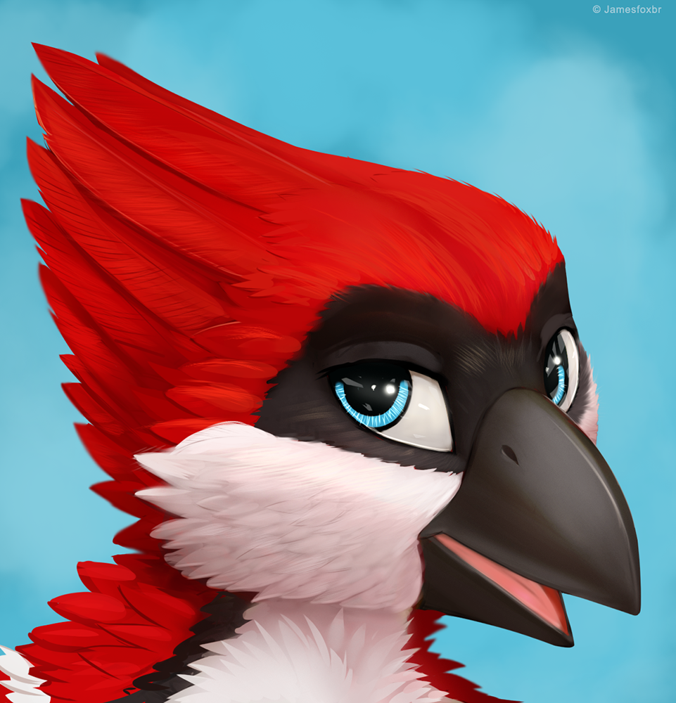 The red blue jay by Weir -- Fur Affinity [dot] net