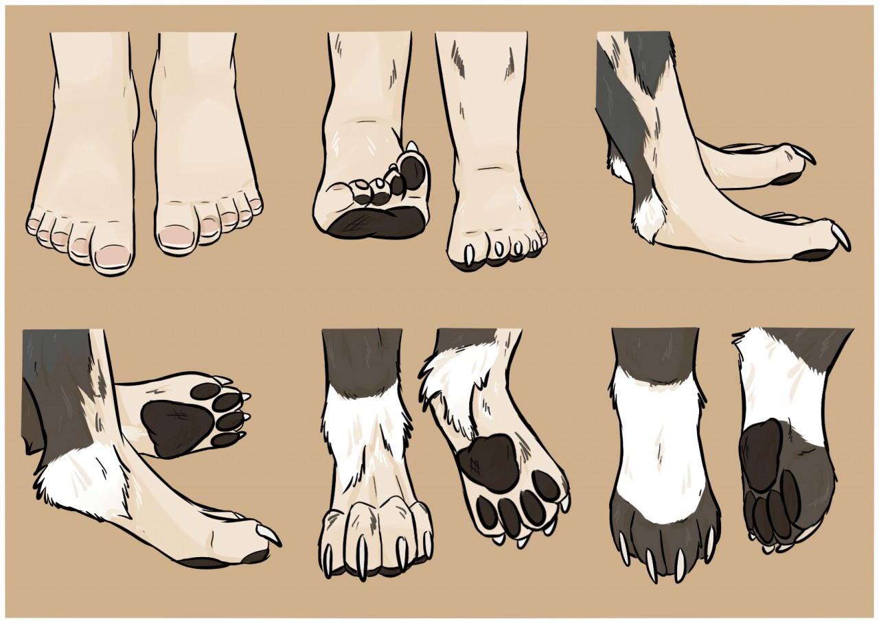 feet. claws. tf. 