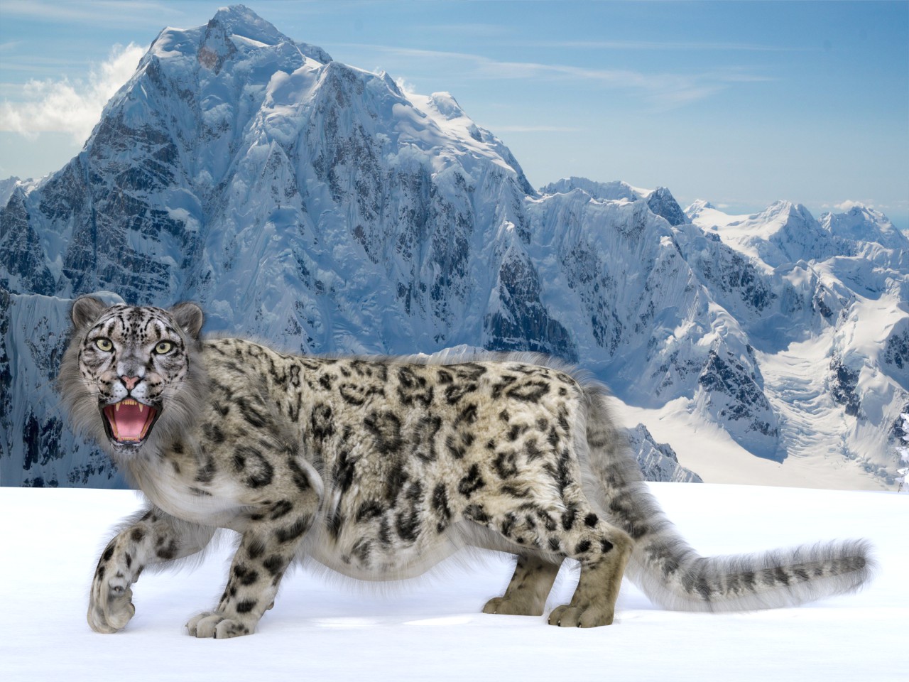 Snow leopard☆様おまとめ2点 snow-leopard-zoo-tokyo-japan-