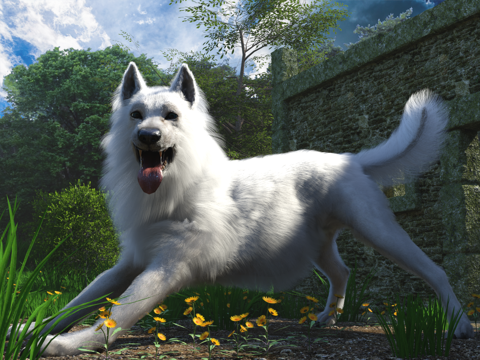 white wolf german shepherd
