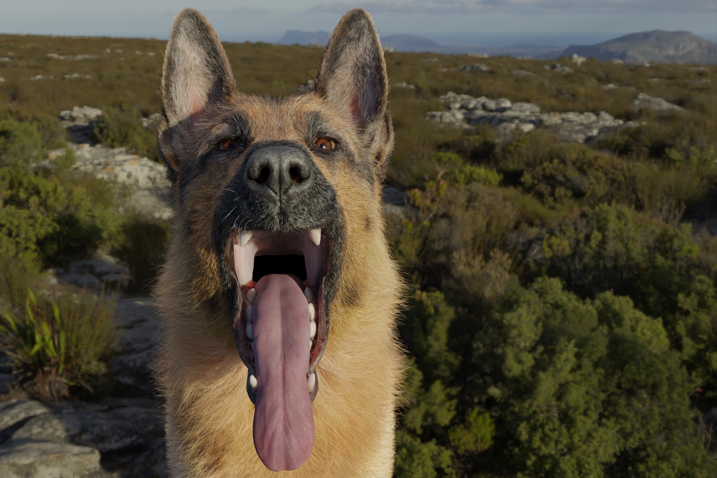 German best sale shepherd mouthing