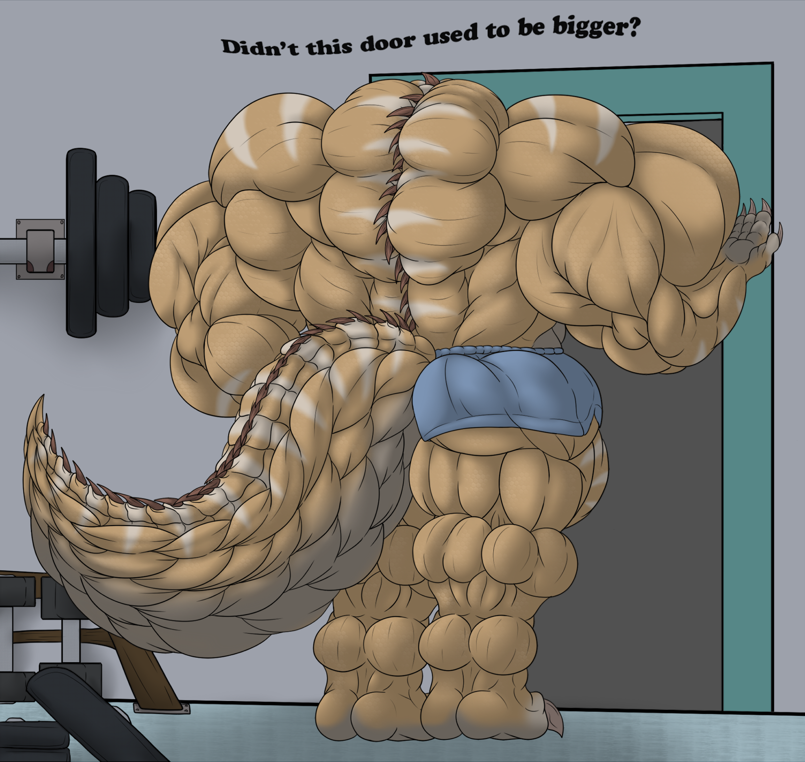 Muscle furry growth