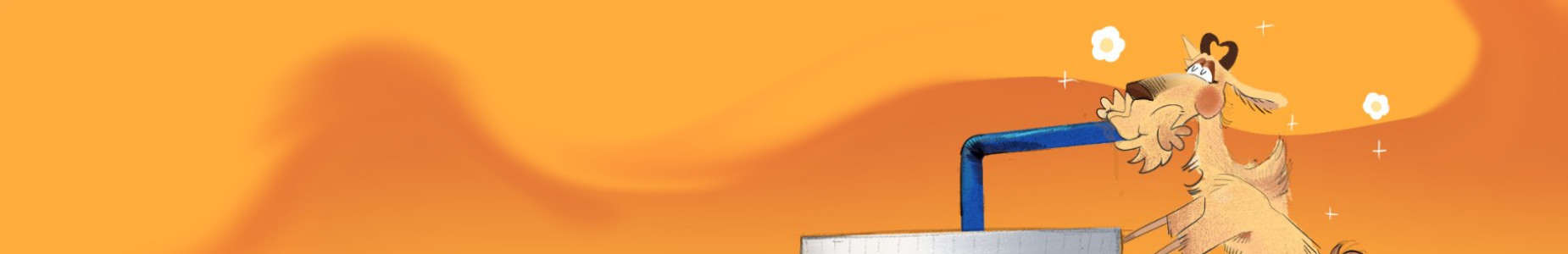Profile Banner image