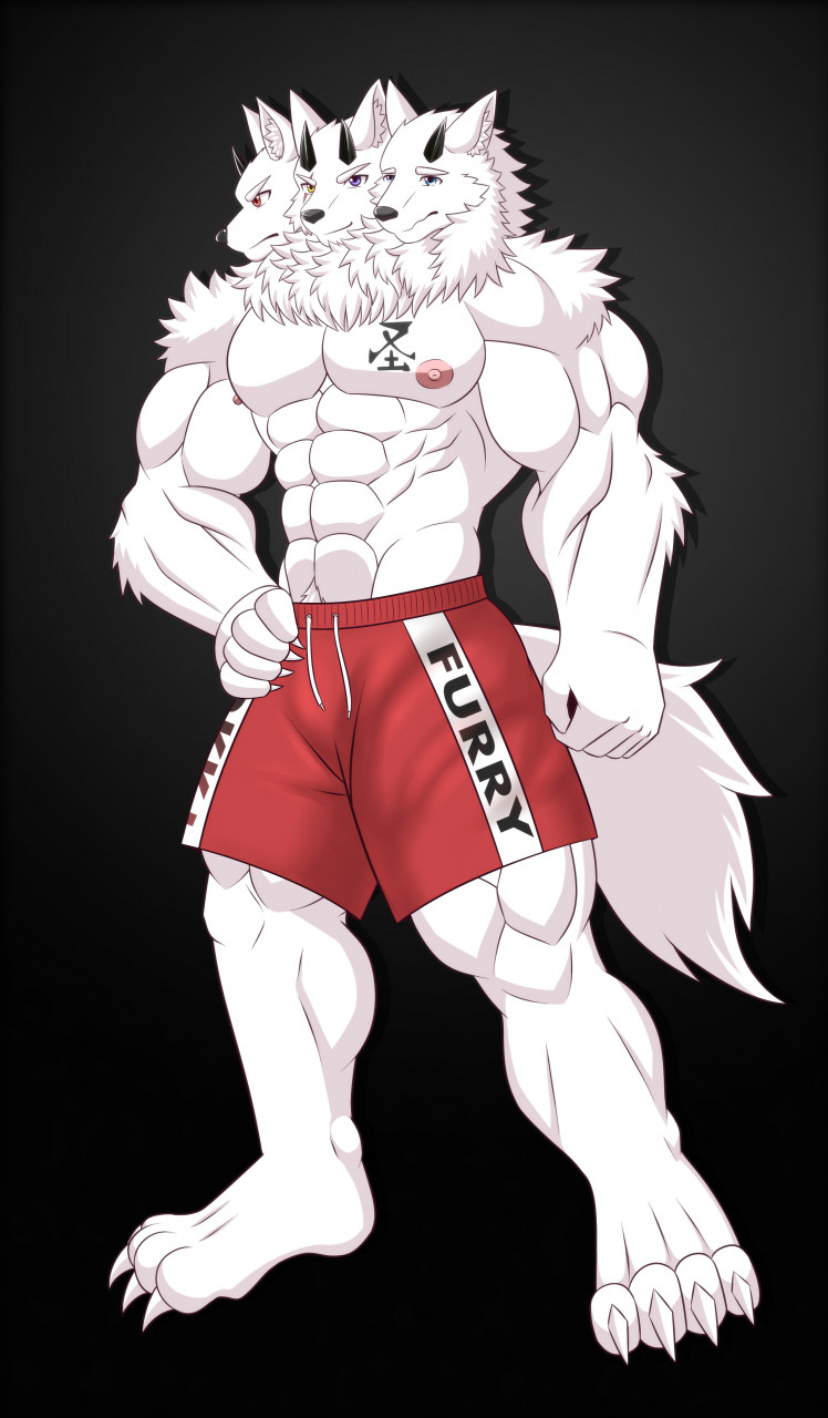 white wolf furry