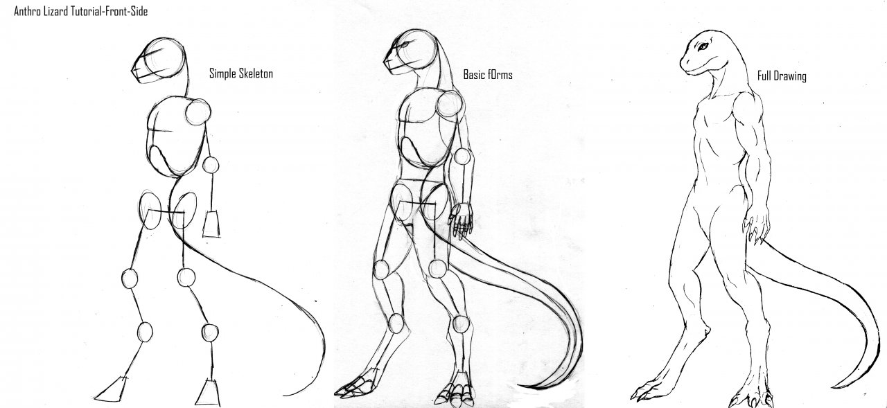 front/side Lizard character t-pose by KnewtKnight on DeviantArt