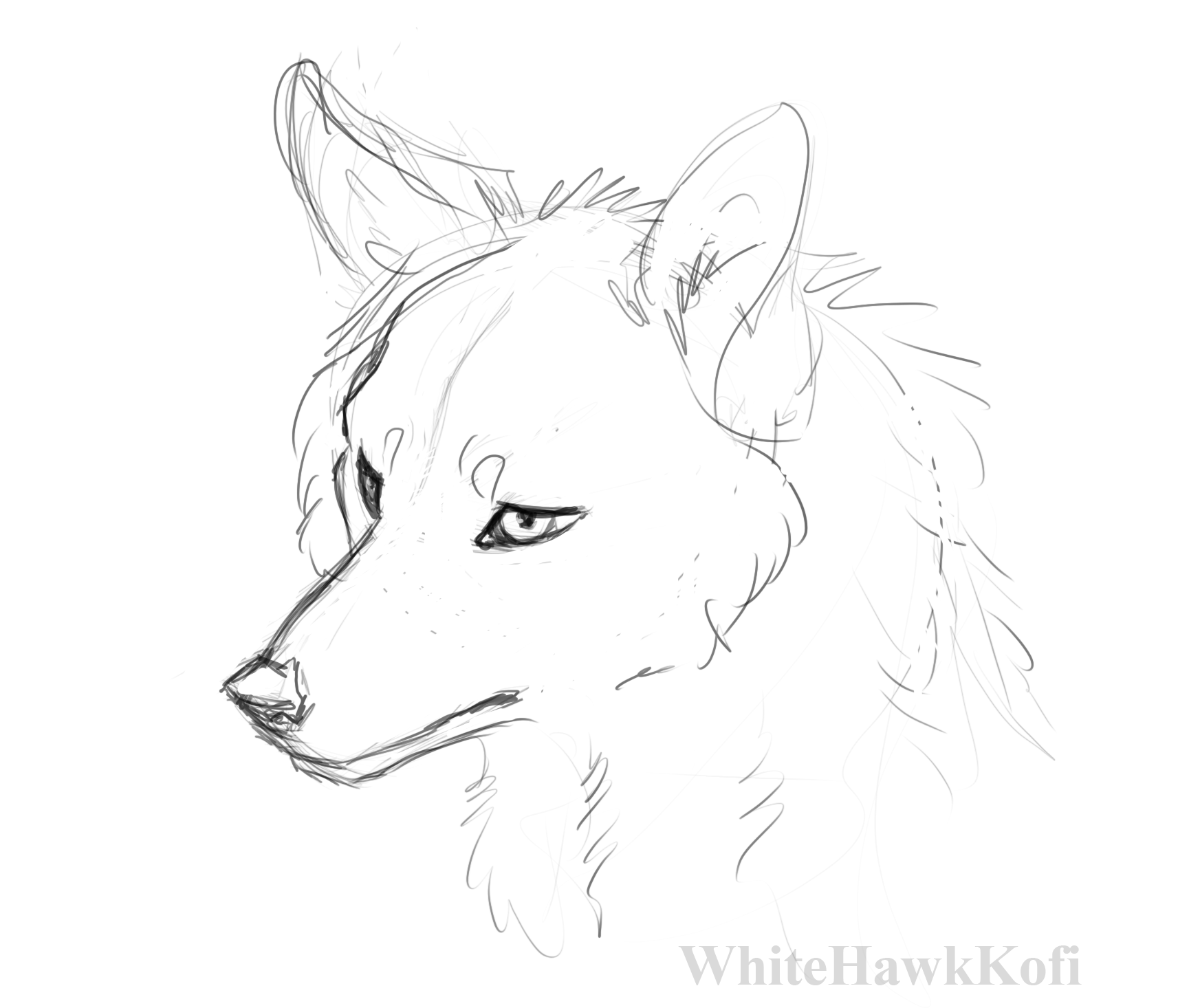 simple anime wolf sketches
