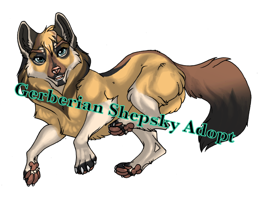 Gerberian store shepsky adoption