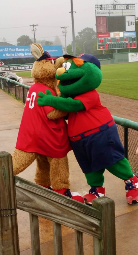 Boston Red Sox Wally the Green Monster Mascot Costume