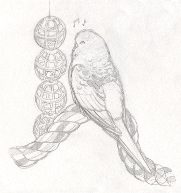 Sketch of Parakeets by RoyLover on DeviantArt